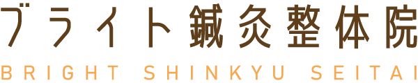 心斎橋徒歩5分で薄毛対策・薄毛治療ができる発毛サロン“ブライト鍼灸整体院”です。口コミを掲載中